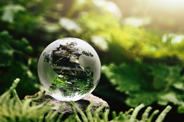 Kristallen bol glas rustend op steen met groen blad en zonneschijn in de natuur. eco milieu concept