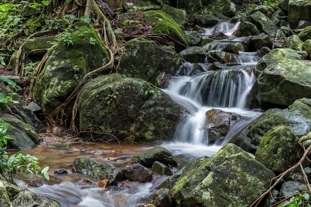 Krok-E-Dok waterfall and rain forest on mountain in Khao Yai National park, Thailand