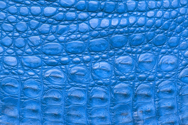 Krokodilhuidtextuur, blauwe kleur.