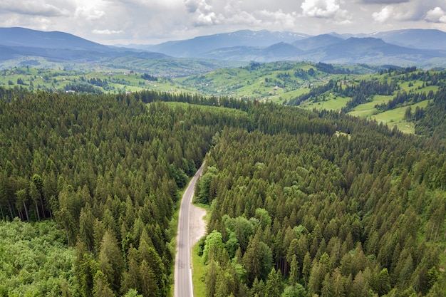 kronkelende bosweg in groene berg sparrenbossen