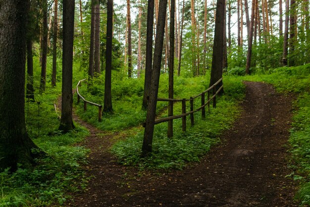 Kronkelende onverharde paden met balustrade in een heuvelachtig bos