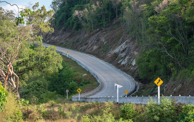 Kronkelende regenwoud bergweg