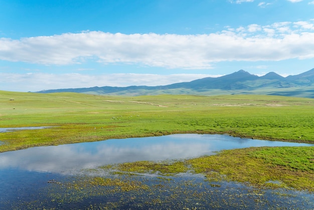 Kronkelende rivieren en weiden Foto in Bayinbuluke Grassland in Xinjiang, China