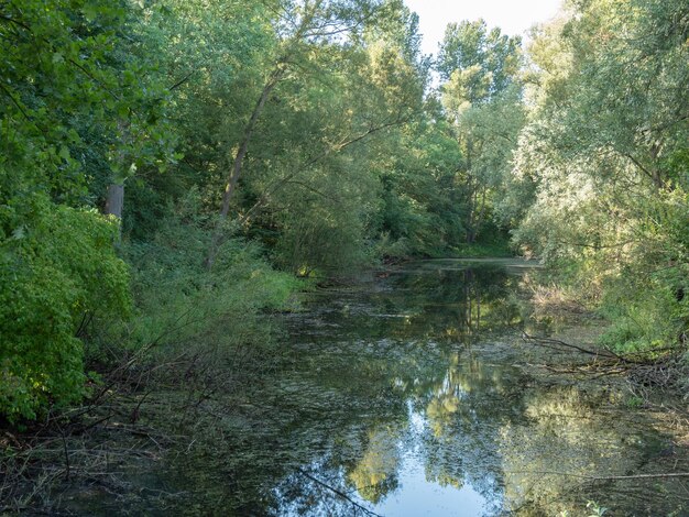 Photo krudenburg at the lippe river