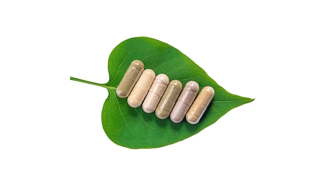 Kruid supplement capsules op groen blad isoleren op witte achtergrond Selectieve aandacht