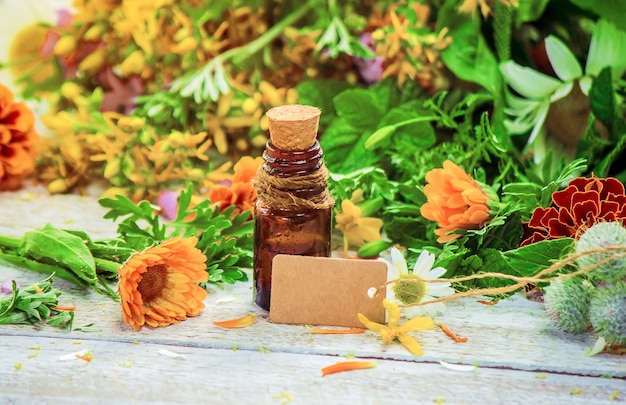 Kruiden in een vijzel. Medicinale planten. Selectieve aandacht. natuur.