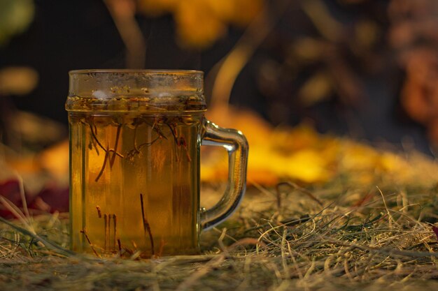 Foto kruidenthee op de achtergrond van herfstgebladerte