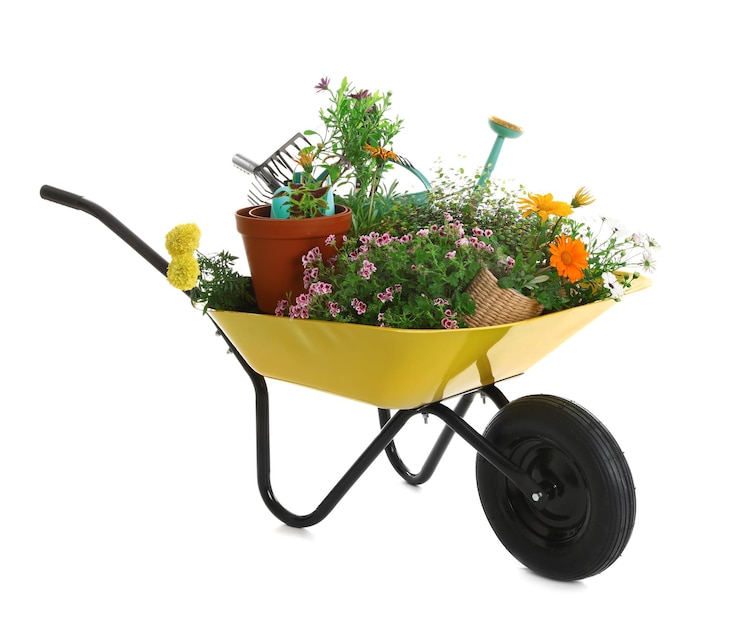 Foto kruiwagen met bloemen en tuingereedschap geïsoleerd op wit