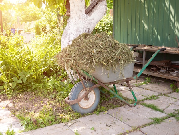 Kruiwagen met hooi voor landbouwhuisdieren