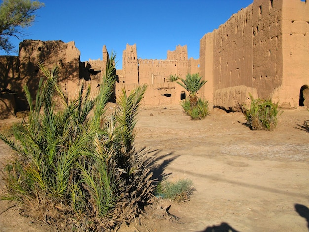 Photo the ksar berber house ouarzazate morocco