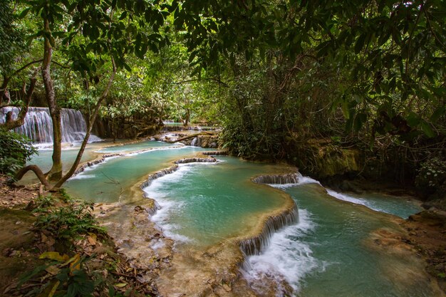 Foto le cascate di kuang si sono acque limpide nella zona di luang prabang, in laos.