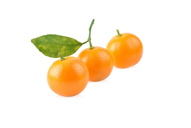 Kumquat orange that placed on white background