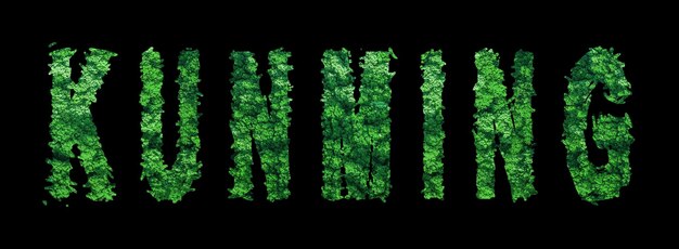 Kunming lettering Kunming Forest Ecology Concept