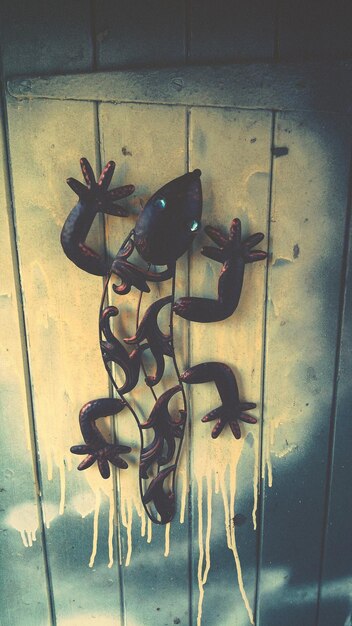 Foto kunstmatige hagedis op de deur.