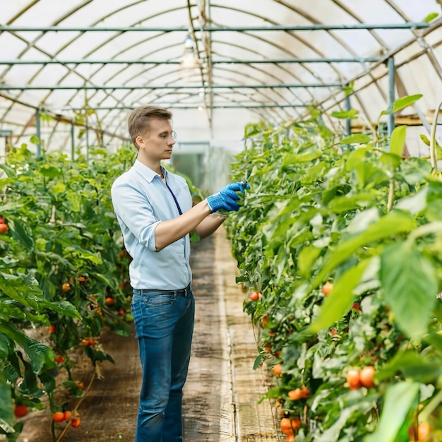 Kunstmatige intelligentie Bestuif fruit en groenten met een robot