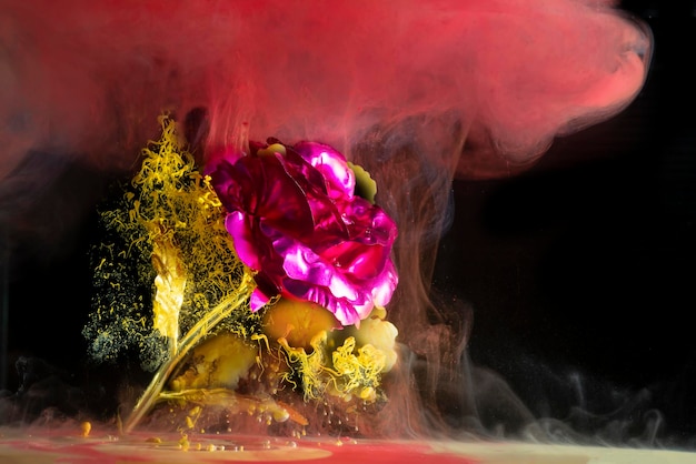 Kunstmatige rode roos met waterverf gemengd zwart achtergrondkunstconcept
