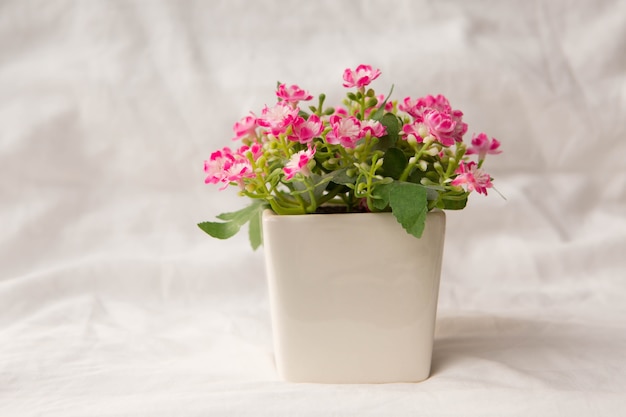 kunstmatige roze bloemen in kleine pot