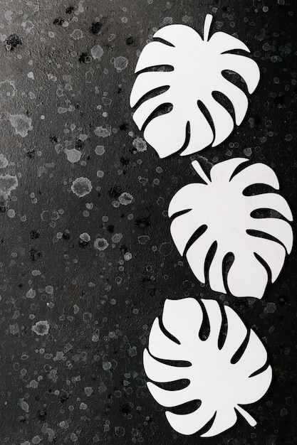 Foto kunstmatige witte monsterabladeren op een zwarte achtergrondruimte voor tekst