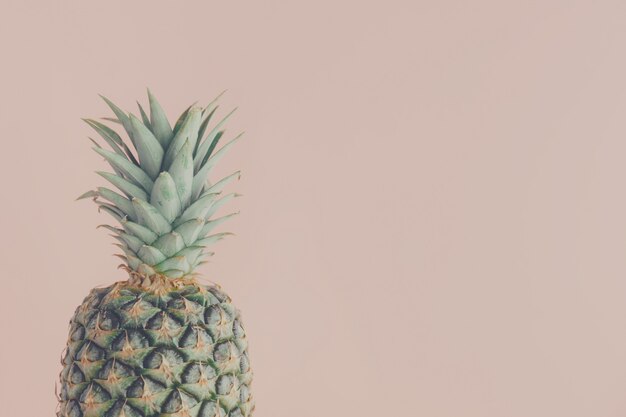 Kunstmening van verse ananas