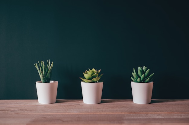 Kunstplantpot op houten bureau