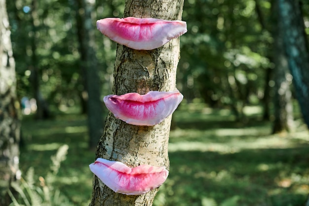 Kunstvoorwerp van menselijke lippen op boomstam in groen bos achtergrondbomen smaken ecologisch gevoel