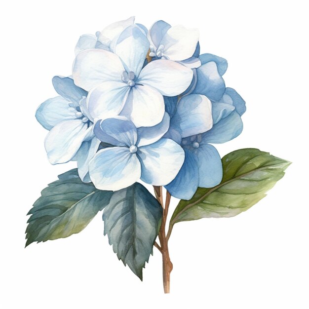 Kunstzinnige aquarelillustratie van een delicate hortensia