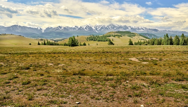 Kurai steppe met uitzicht op de bergketen met besneeuwde toppen. Altai