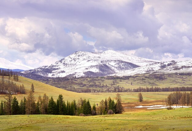 Kurai steppe in spring Dry grass on the slopes snowcapped peaks of the mountains