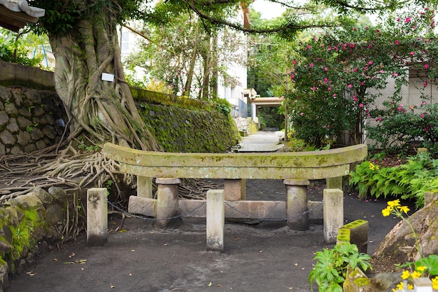 黒神埋鳥居