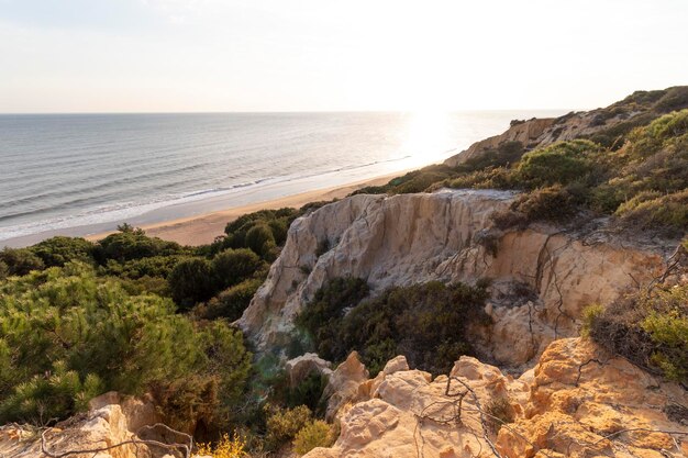 Kust met kliffen, duinen, pijnbomen, groene vegetatie. Concept van de beste stranden.