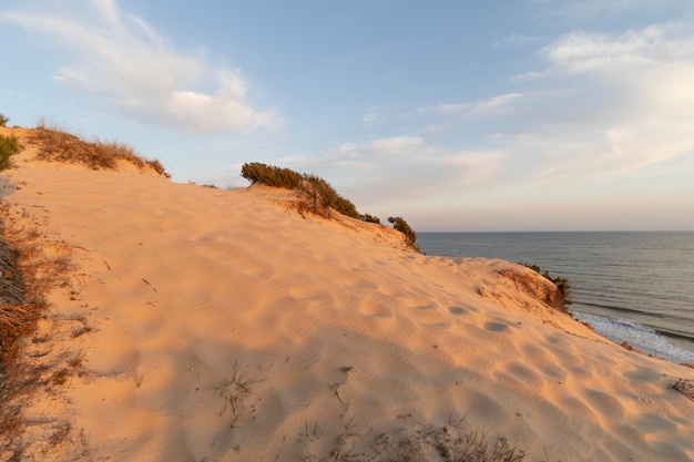 Kust met kliffen duinen pijnbomen groene vegetatieHet mooiste strand van Spanje