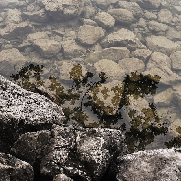 Kust met stenen en kristalheldere water met boombladeren reflectie