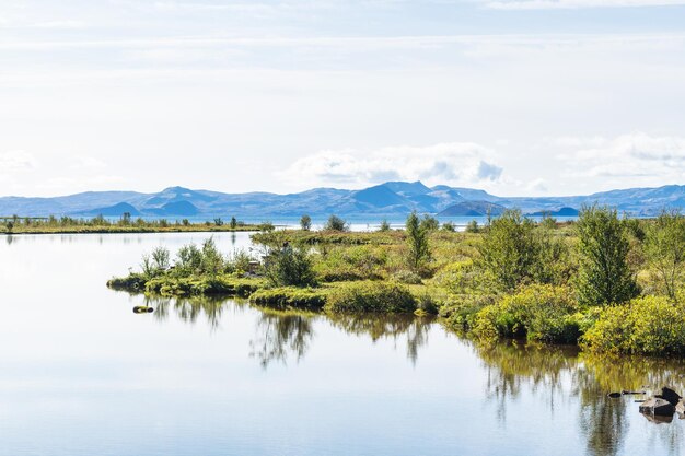 Kust van het thingvallavatn-meer in het thingvellir-park