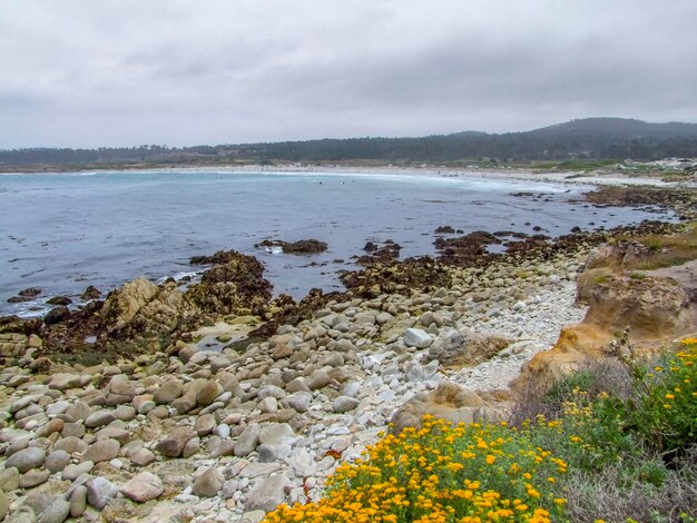 kustlandschap in Californië