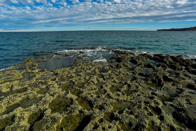 Kustlandschap met kliffen in Valdes schiereiland, werelderfgoed Patagonië, Argentinië