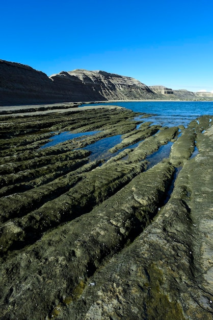 Kustlandschap met kliffen in Valdes schiereiland, werelderfgoed Patagonië, Argentinië