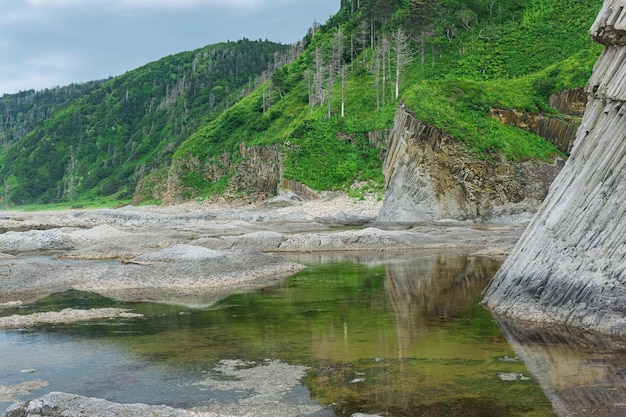 Kustlandschap prachtige zuilvormige basalt klif aan de beboste kust van het eiland Kunashir