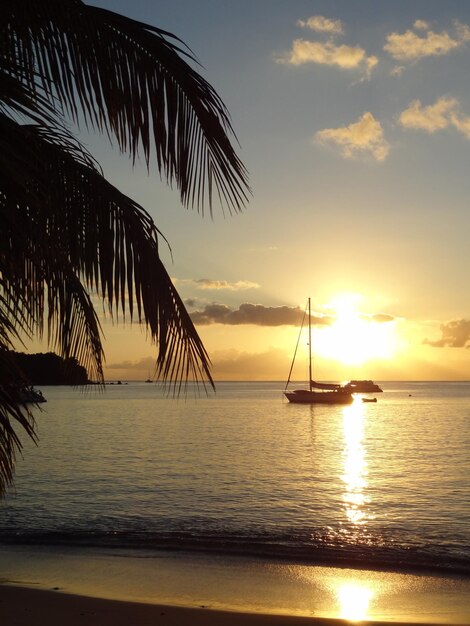 kustlandschap's avonds in Guadeloupe