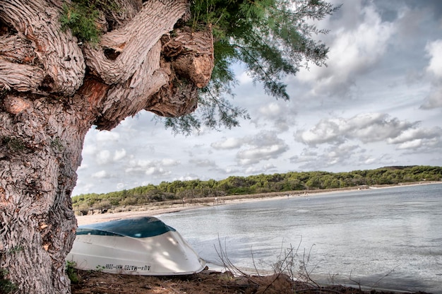 Kustlandschap van menorca balearen spanje