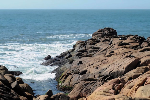 Kustlandschap van Punta Polonio - Uruguay