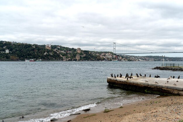 Foto kustlijn van de bosporus