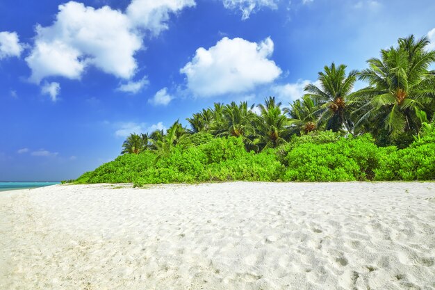 Kustlijn van een tropisch eiland in de Malediven en uitzicht op de Indische Oceaan.