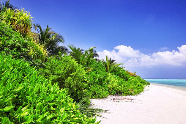 Kustlijn van een tropisch eiland in de Malediven en uitzicht op de Indische Oceaan.
