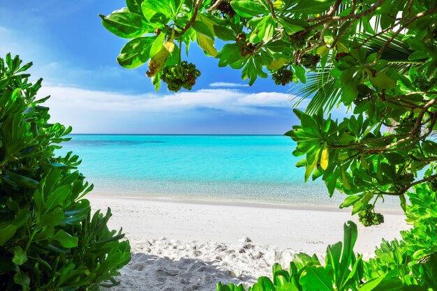 Kustlijn van een tropisch eiland in de Malediven en uitzicht op de Indische Oceaan.