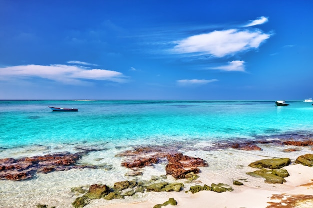 Kustlijn van een tropisch eiland in de Malediven en uitzicht op de Indische Oceaan.