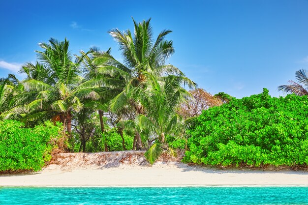 Kustlijn van een tropisch eiland in de Malediven en uitzicht op de Indische Oceaan.