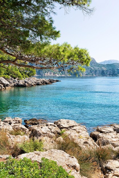 Kustlijn van het eiland Lokrum in de Adriatische Zee, Dubrovnik, Kroatië