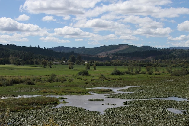 Kustlijn van Oregon