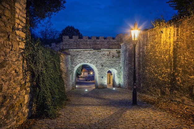 Kutna Hora Czechia Zizkov Gate의 전망 Zizkovska brana