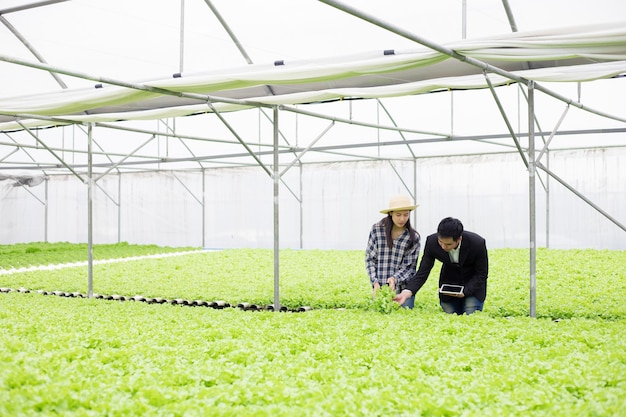 Kwaliteitsinspecteur en boerin op hydroponics farm